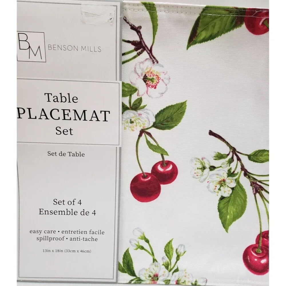 Set of 4 Same Reversible Fabric Placemats (13